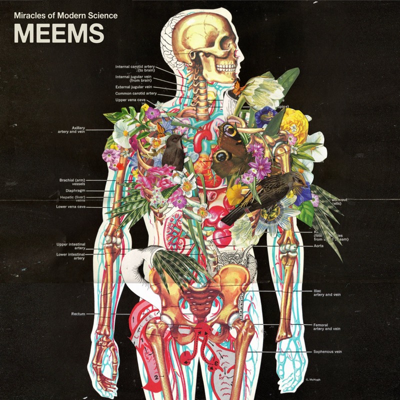 Miracles of Modern Science 'MEEMS' album cover: Anatomical illustration of human body overlaid with colorful flowers, birds, and butterflies. Labeled veins and organs visible.